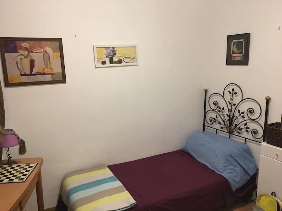 The Oasis One Spacious Apartment In Sevilla Esterno foto
